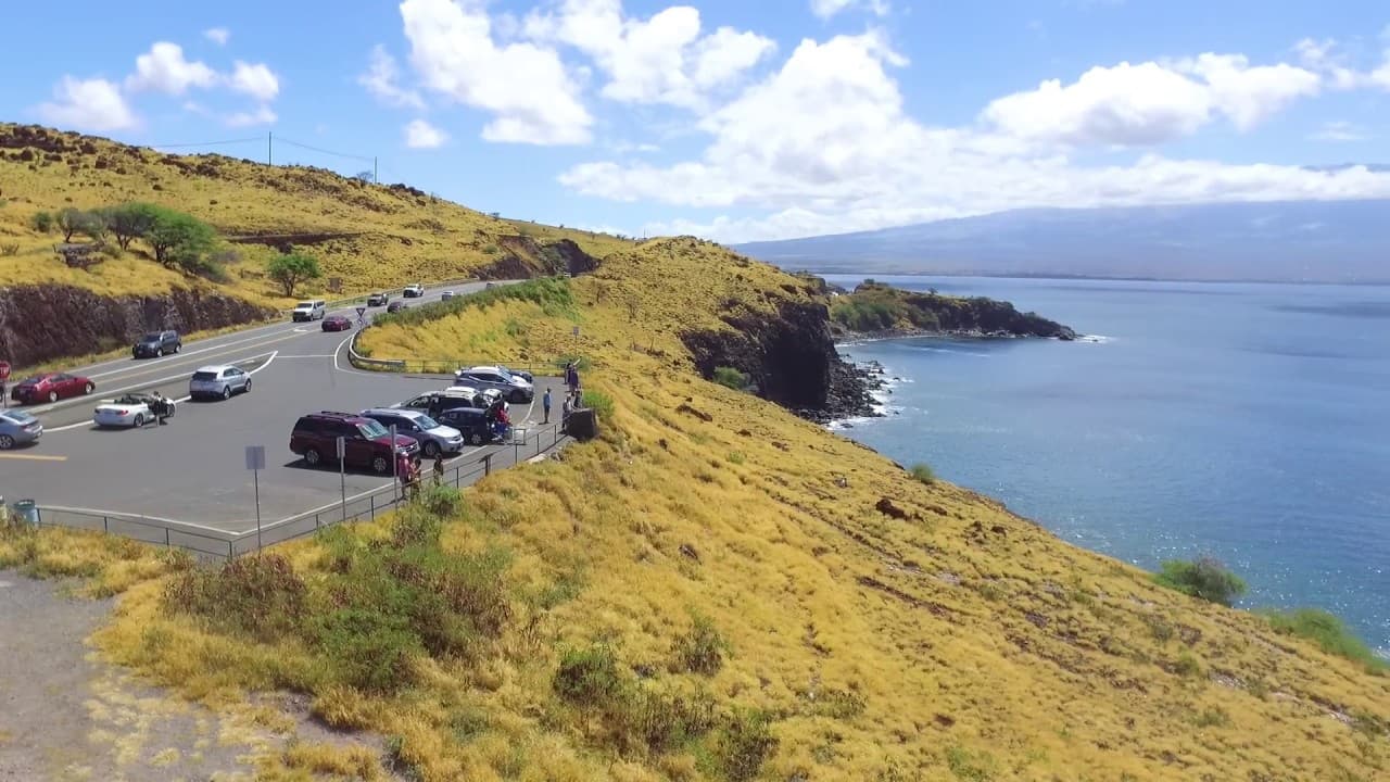 Papawai Point