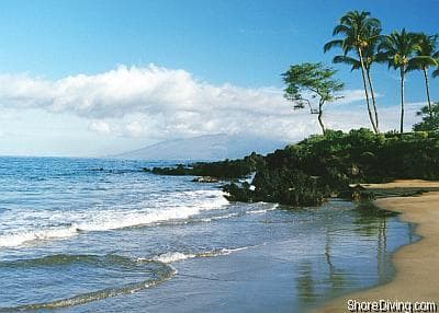 Polo Beach