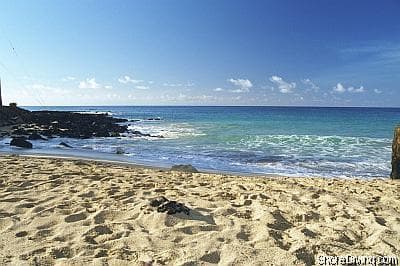 Brennecke Beach