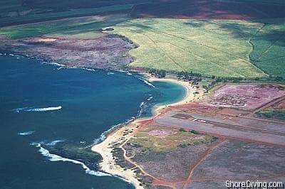 Salt Pond