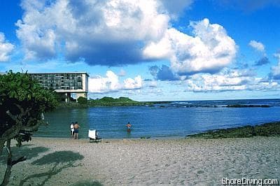 Turtle Bay