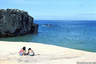 Waimea Bay (wall)