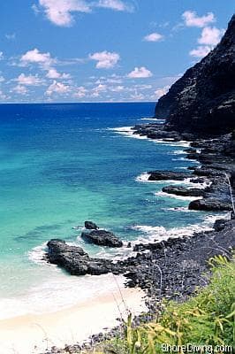 Makapu'u Beach Park