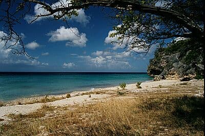 Playa Manzalino