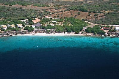 Playa Kalki (Alice in Wonderland)