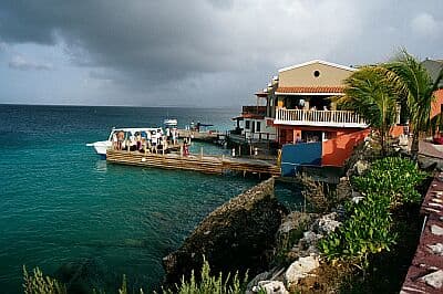 Buddy's Reef