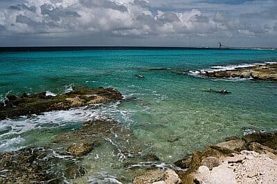 Tori's Reef