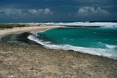 Bachelors Beach