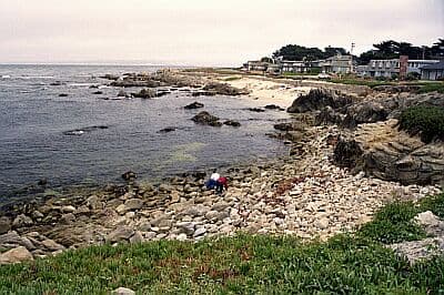 Coral Street Beach