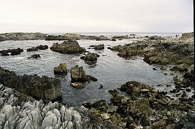 Point Pinos (Sewer Plant Beach)
