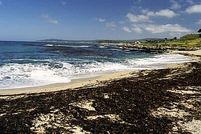 Monastery Beach North