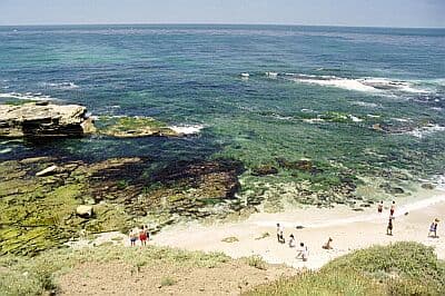 Shell Beach