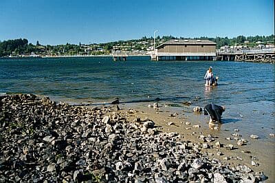 Wacoma Dock