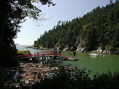 The Cove