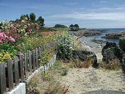 McMicking Point