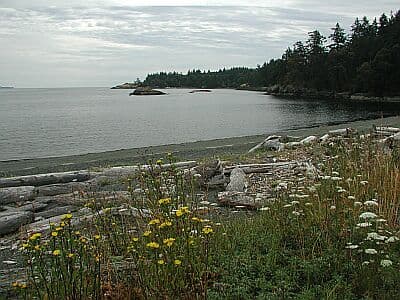 Albert Head Lagoon