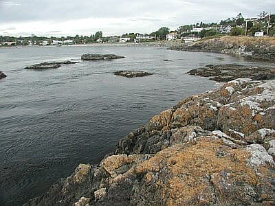 McNeill Point