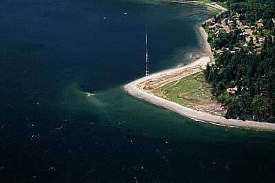 The Tower