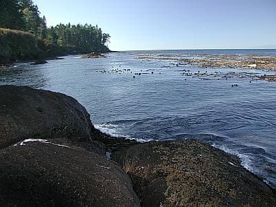 Salt Creek