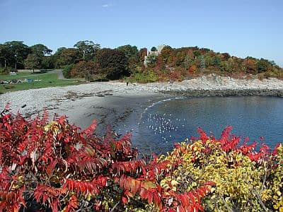Ship's Cove