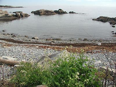 Biddeford Pool