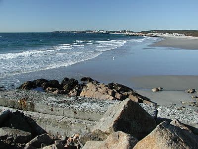 Cape Hedge