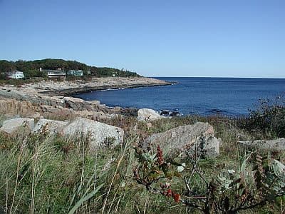 Cathedral Rocks