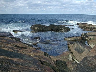 Halibut Point