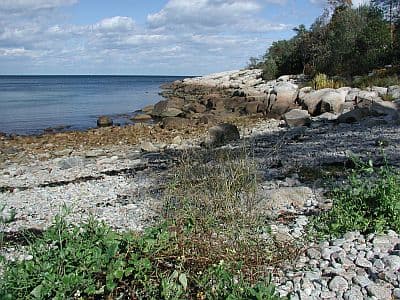Plum Cove