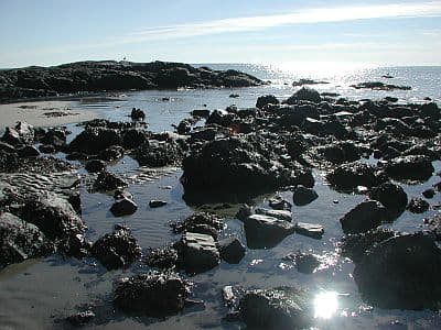 Plaice Cove