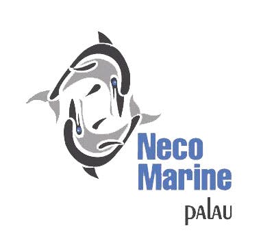 Neco Marine Dive Center