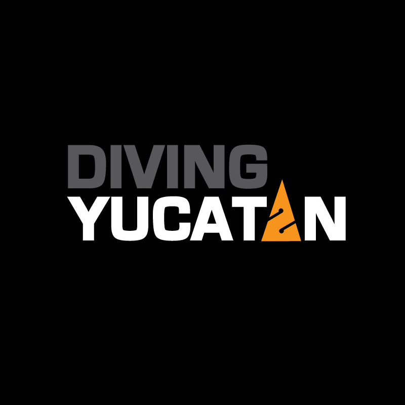 Diving Yucatan