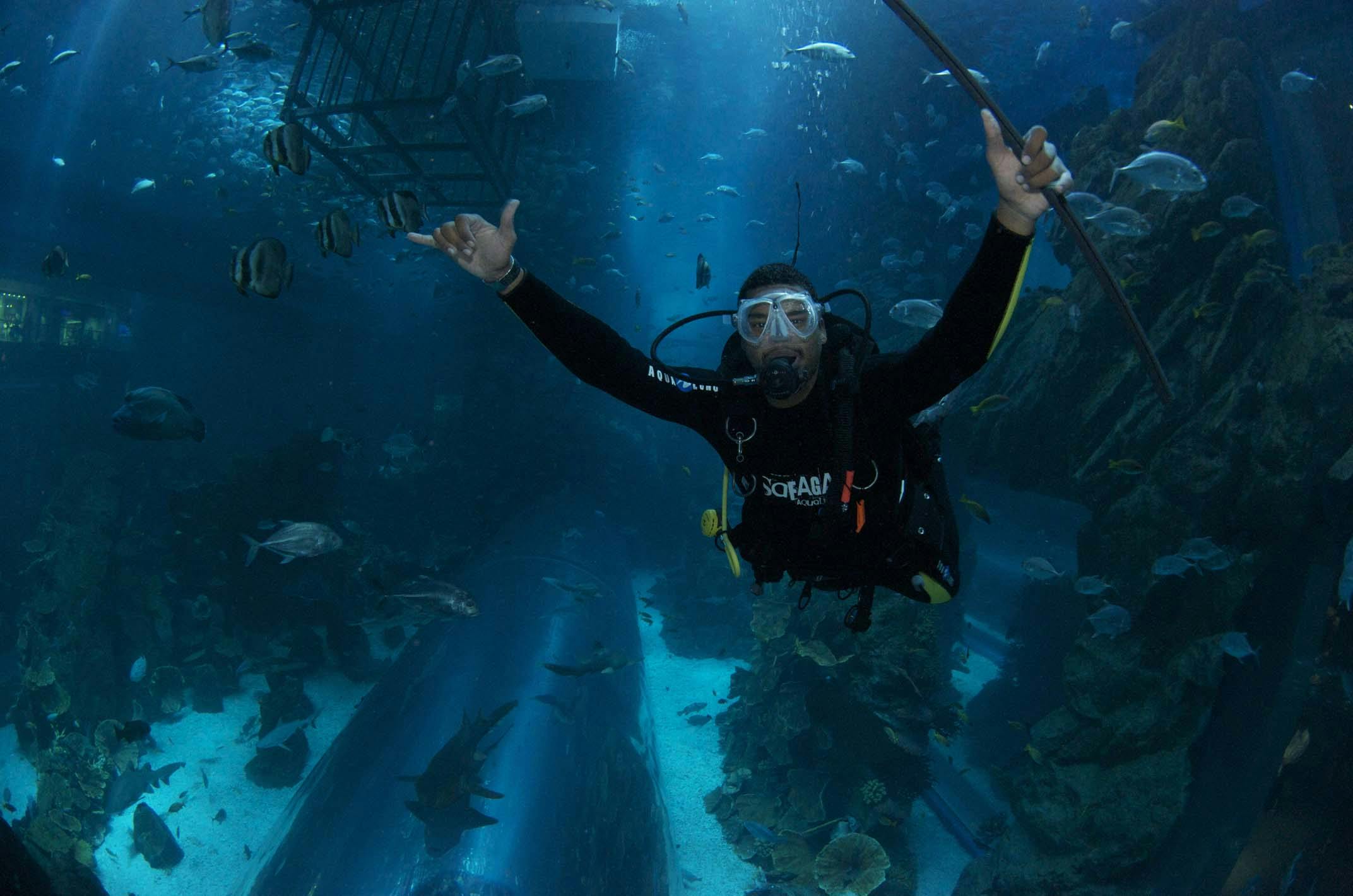 Al Boom Diving - Dubai Mall Aquarium