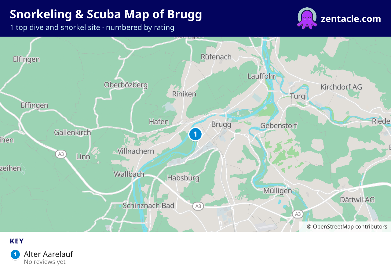 Snorkeling & Scuba Map of Brugg: numbered map of the top 1 dive and snorkel sites, with ratings