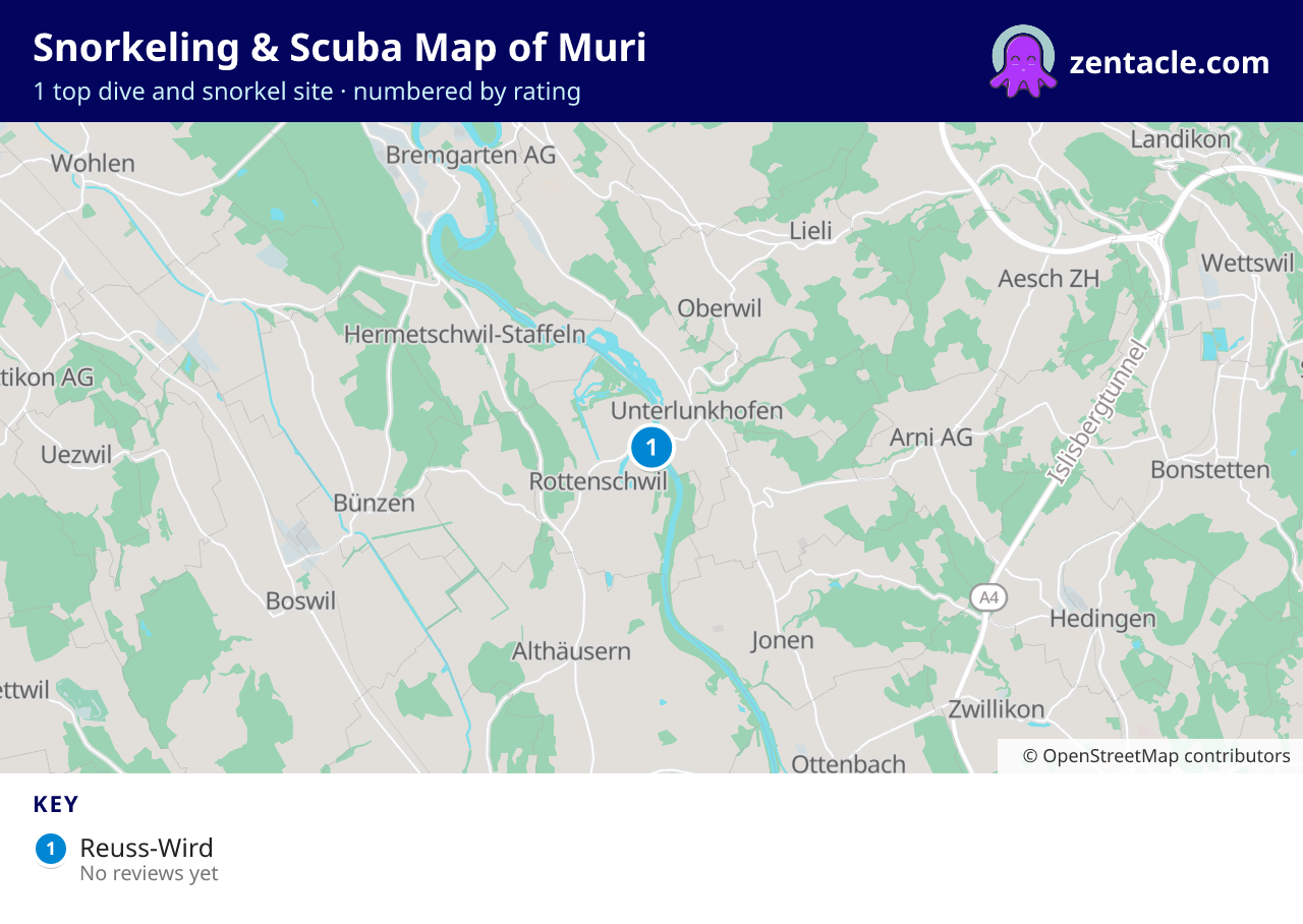 Snorkeling & Scuba Map of Muri: numbered map of the top 1 dive and snorkel sites, with ratings