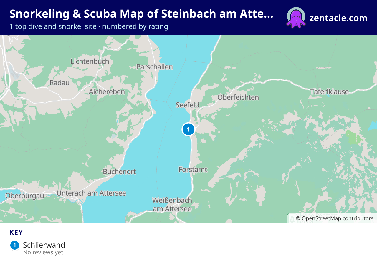 Snorkeling & Scuba Map of Steinbach am Attersee: numbered map of the top 1 dive and snorkel sites, with ratings