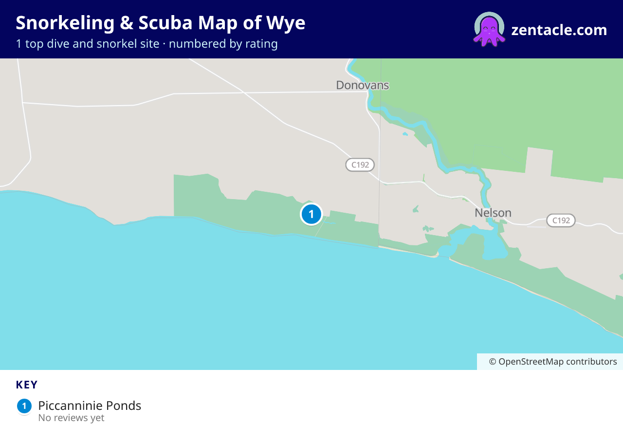 Snorkeling & Scuba Map of Wye: numbered map of the top 1 dive and snorkel sites, with ratings
