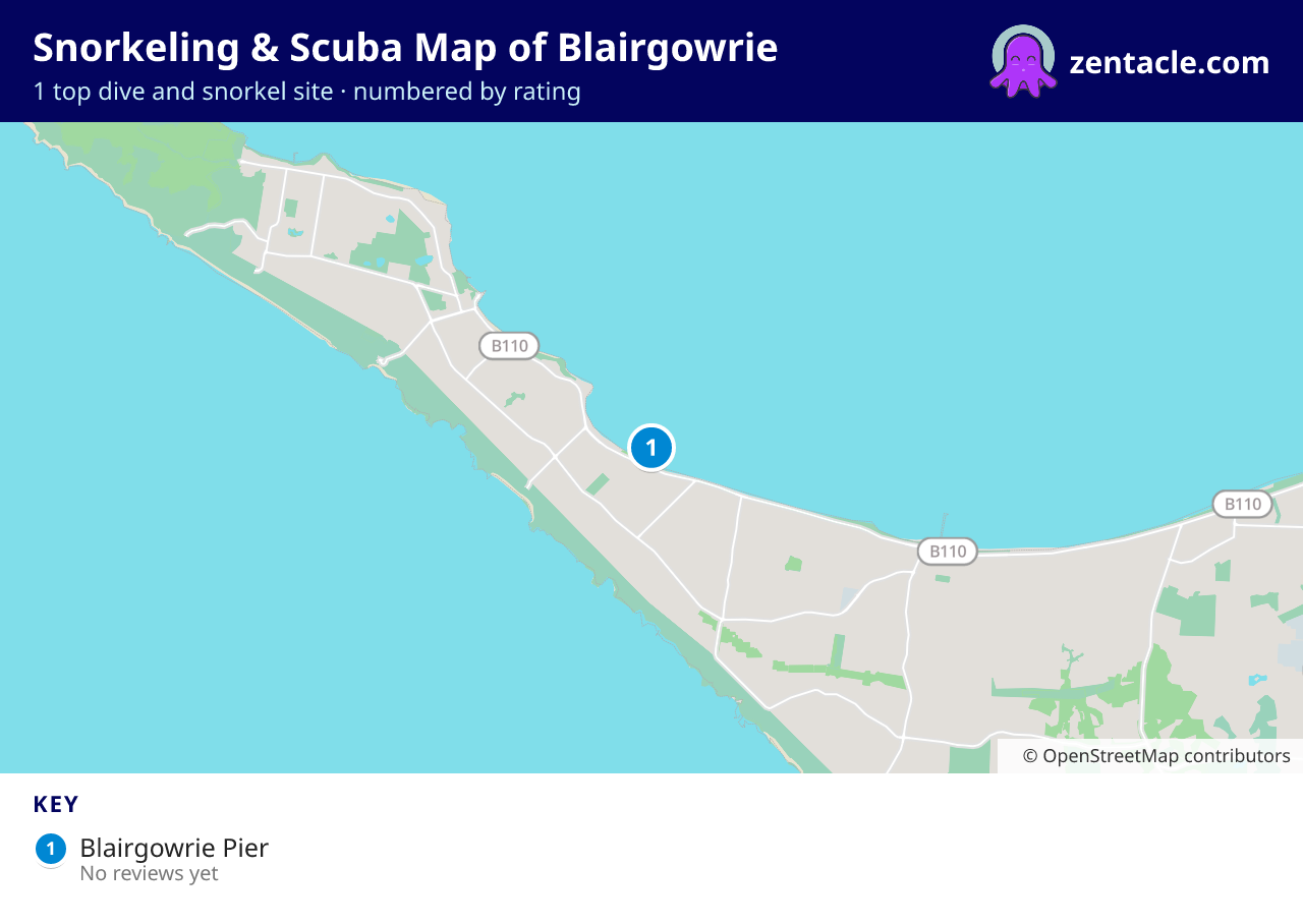 Snorkeling & Scuba Map of Blairgowrie: numbered map of the top 1 dive and snorkel sites, with ratings