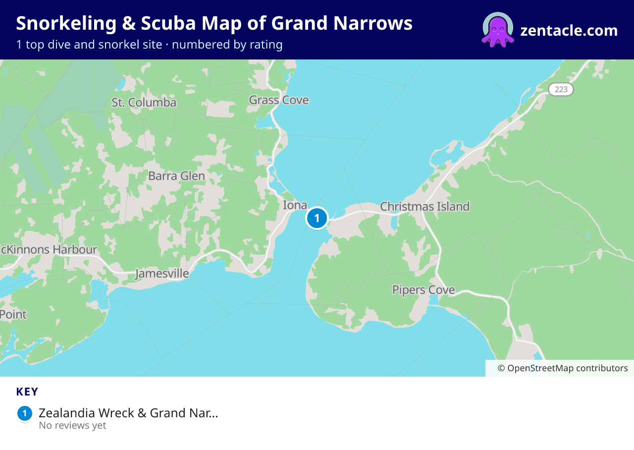 Snorkeling & Scuba Map of Grand Narrows: numbered map of the top 1 dive and snorkel sites, with ratings