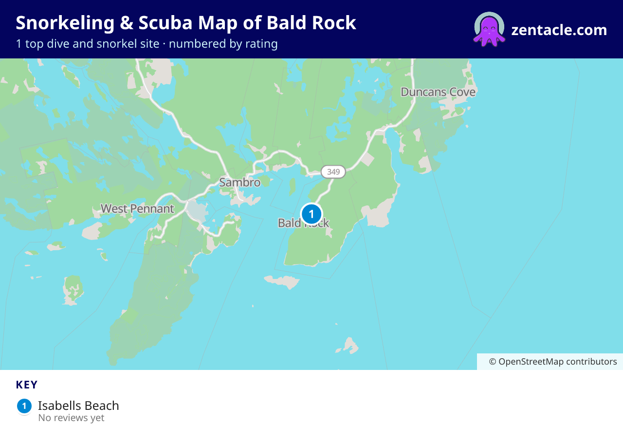 Snorkeling & Scuba Map of Bald Rock: numbered map of the top 1 dive and snorkel sites, with ratings