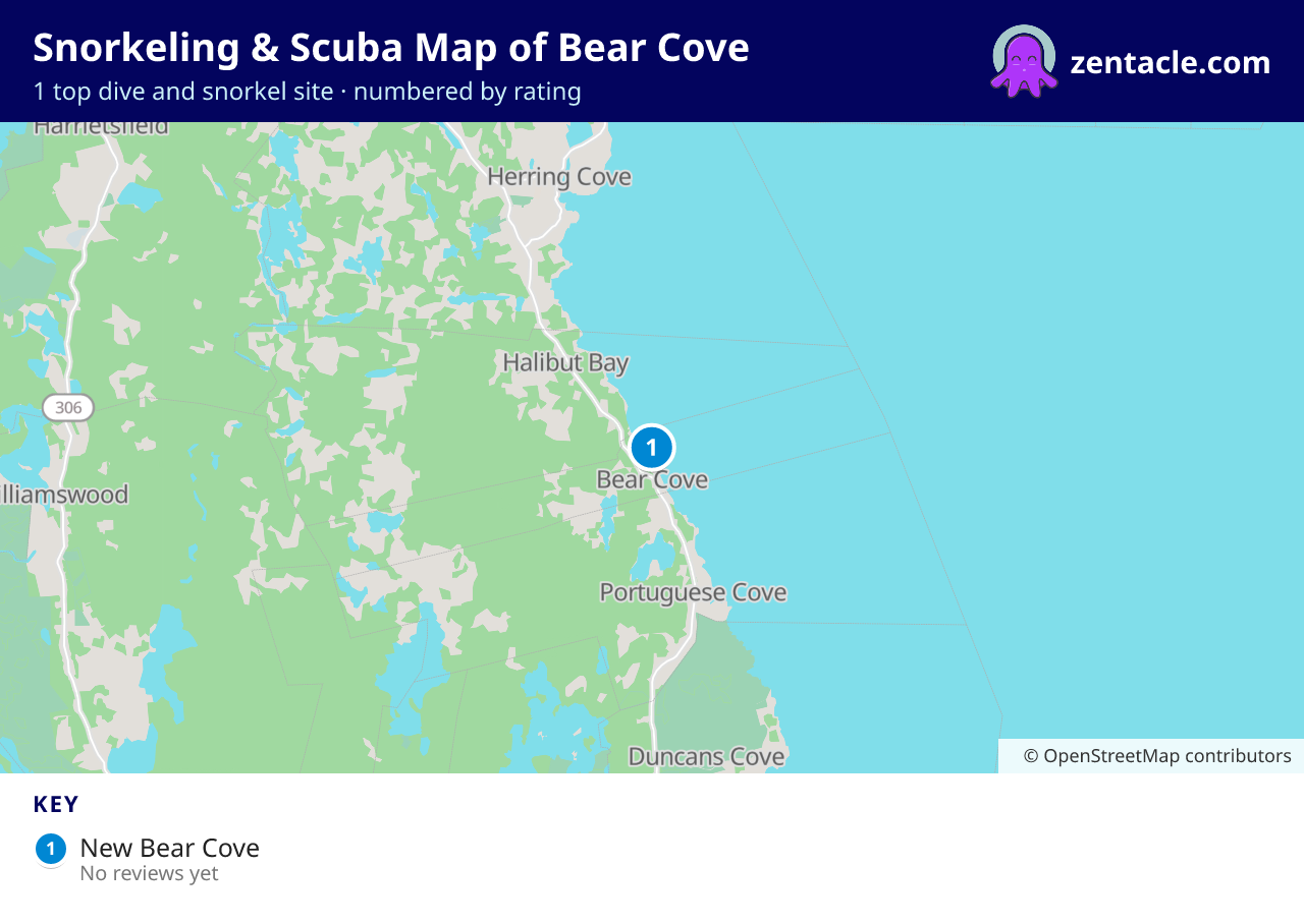 Snorkeling & Scuba Map of Bear Cove: numbered map of the top 1 dive and snorkel sites, with ratings