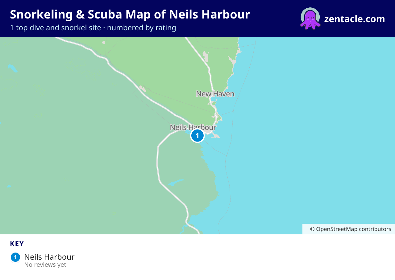 Snorkeling & Scuba Map of Neils Harbour: numbered map of the top 1 dive and snorkel sites, with ratings