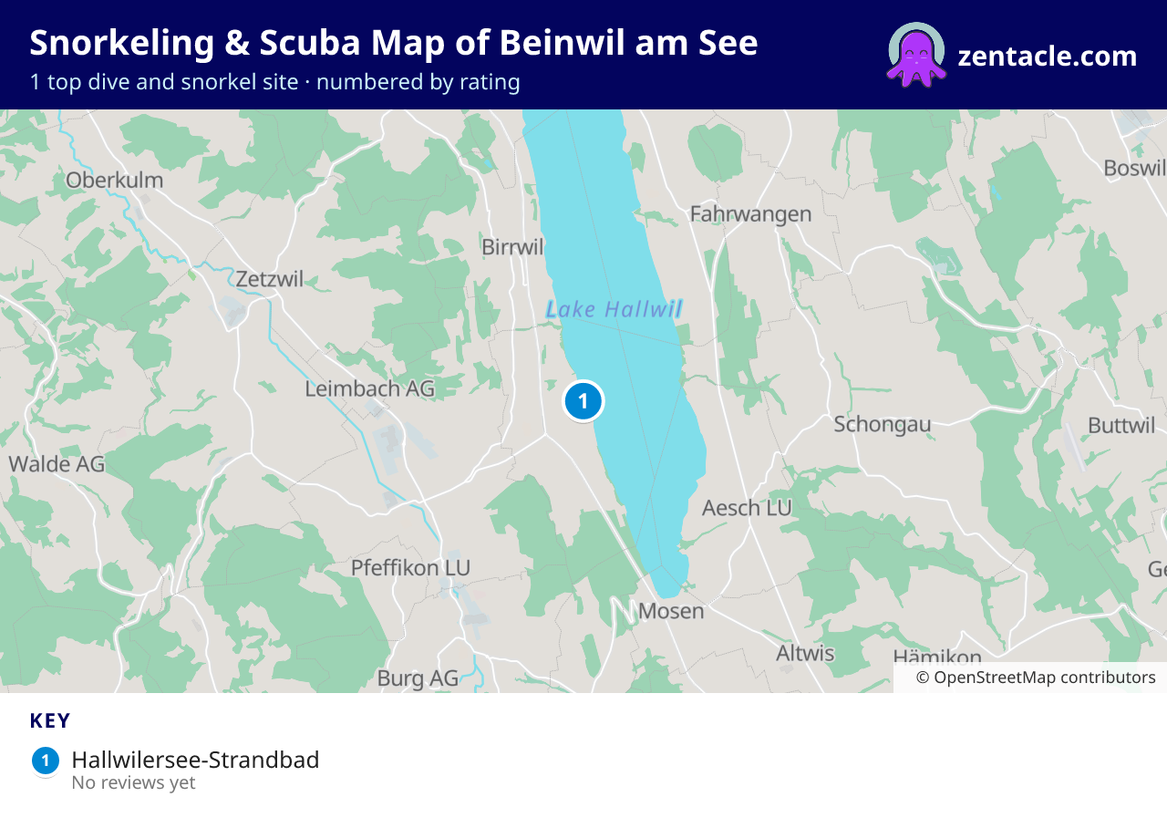 Snorkeling & Scuba Map of Beinwil am See: numbered map of the top 1 dive and snorkel sites, with ratings