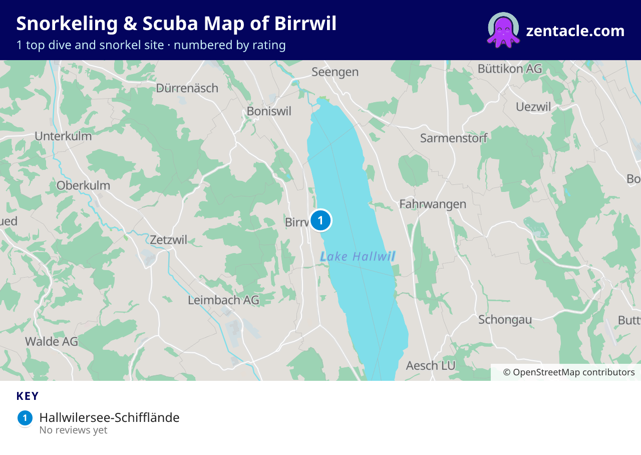 Snorkeling & Scuba Map of Birrwil: numbered map of the top 1 dive and snorkel sites, with ratings