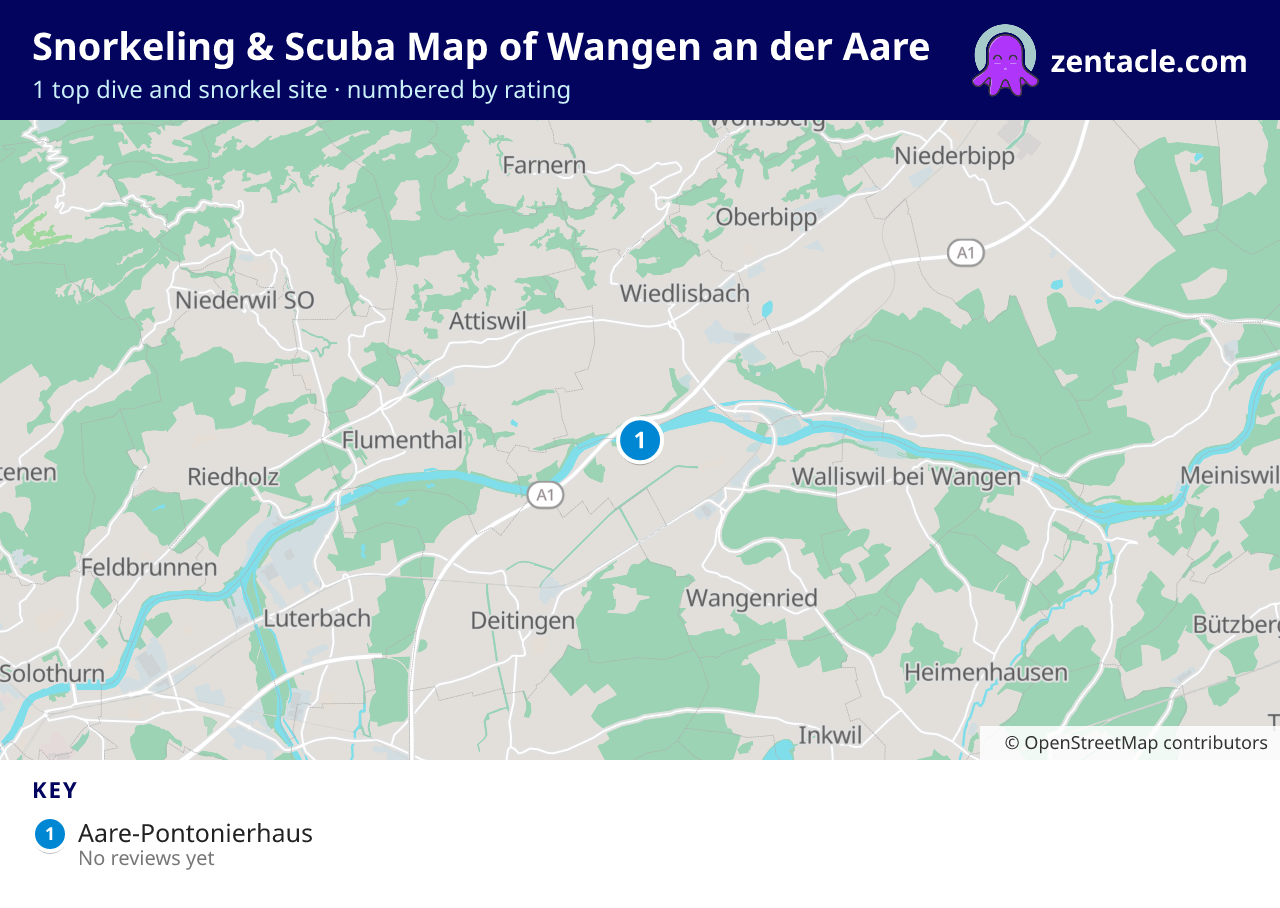 Snorkeling & Scuba Map of Wangen an der Aare: numbered map of the top 1 dive and snorkel sites, with ratings
