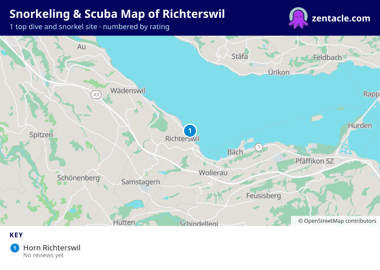 Snorkeling & Scuba Map of Richterswil: numbered map of the top 1 dive and snorkel sites, with ratings