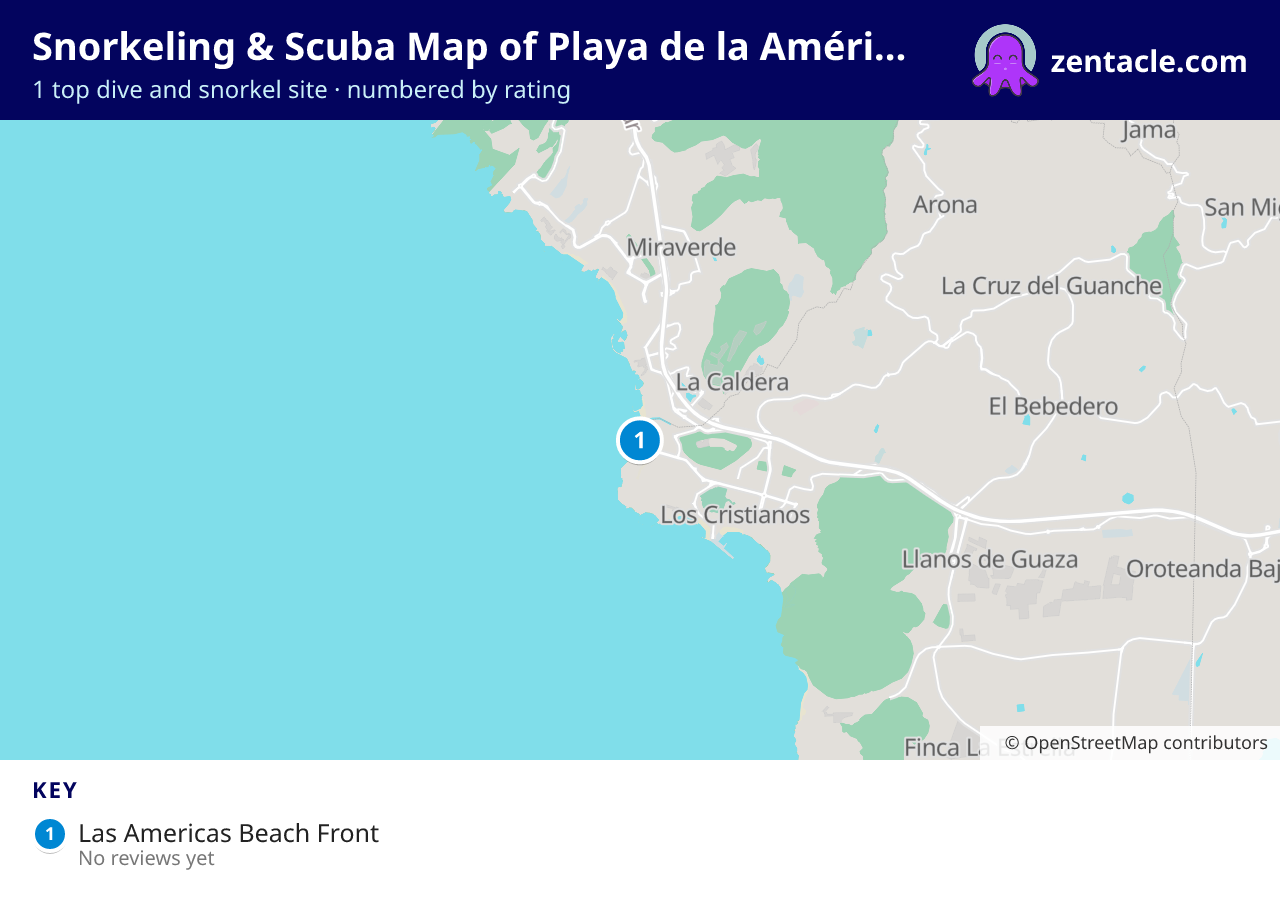 Snorkeling & Scuba Map of Playa de la Américas: numbered map of the top 1 dive and snorkel sites, with ratings