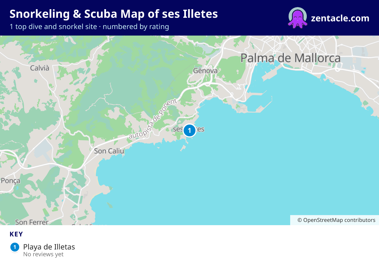 Snorkeling & Scuba Map of ses Illetes: numbered map of the top 1 dive and snorkel sites, with ratings