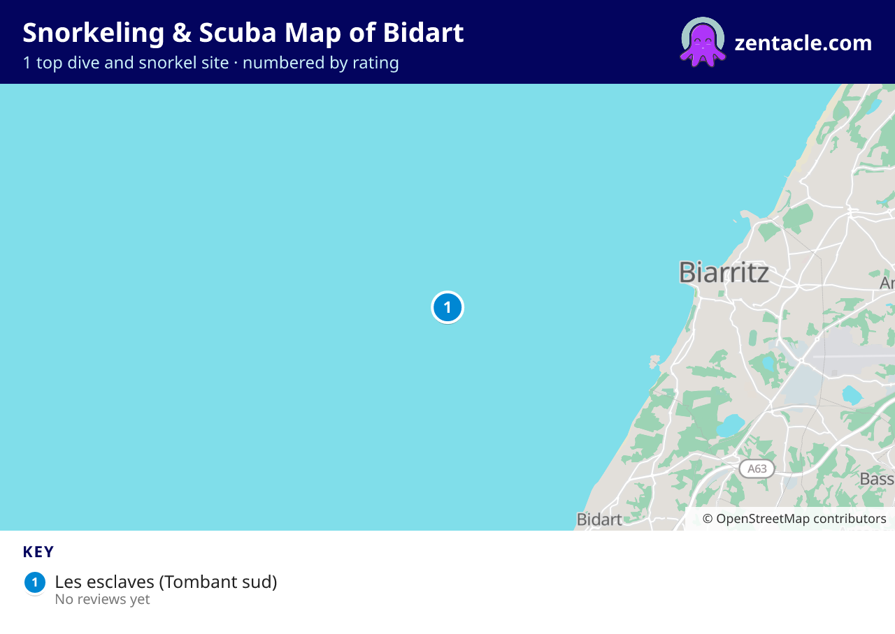 Snorkeling & Scuba Map of Bidart: numbered map of the top 1 dive and snorkel sites, with ratings