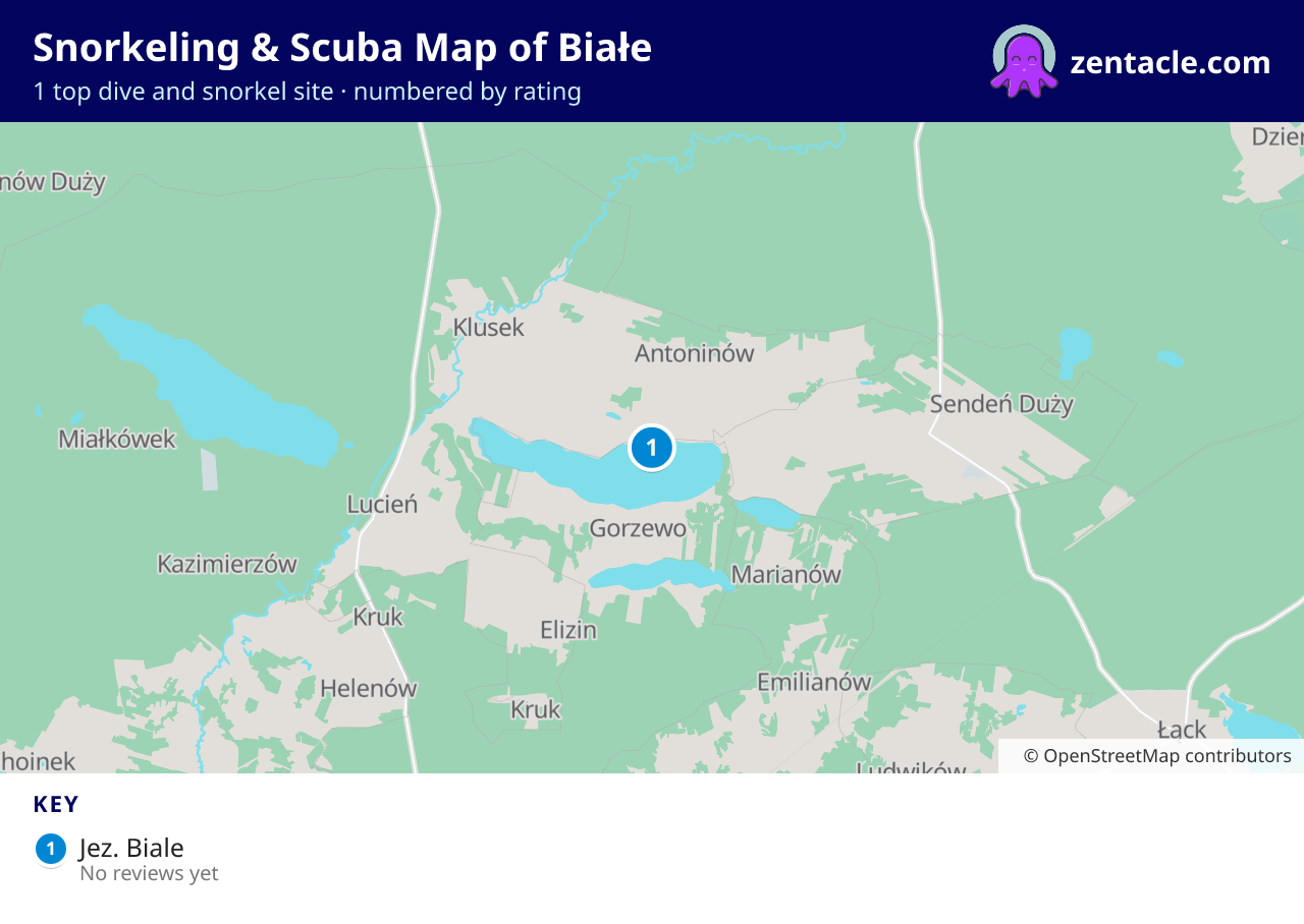 Snorkeling & Scuba Map of Białe: numbered map of the top 1 dive and snorkel sites, with ratings